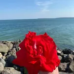 アパート Sea View On The Sunny スヴェティ・ヴラス