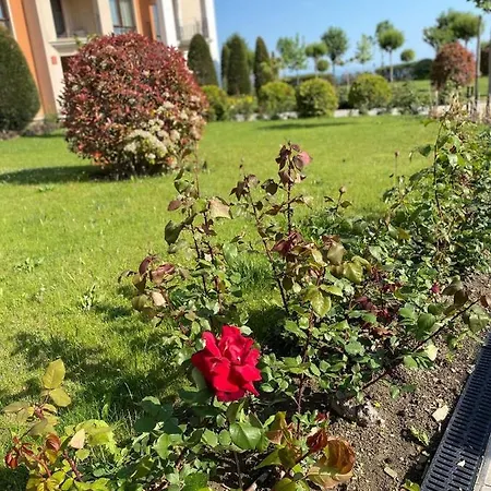 Sea View On The Sunny Apartment Sweti Wlas