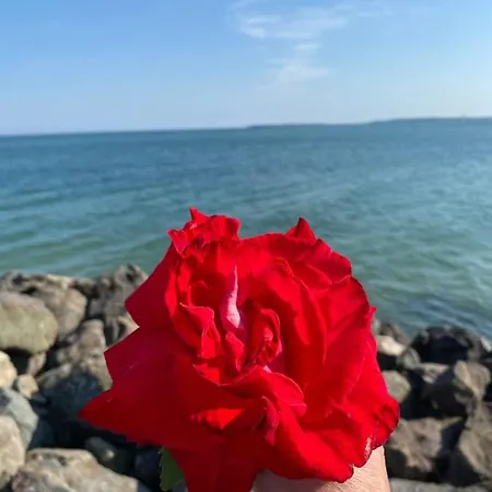 Appartamento Sea View On The Sunny Sveti Vlas