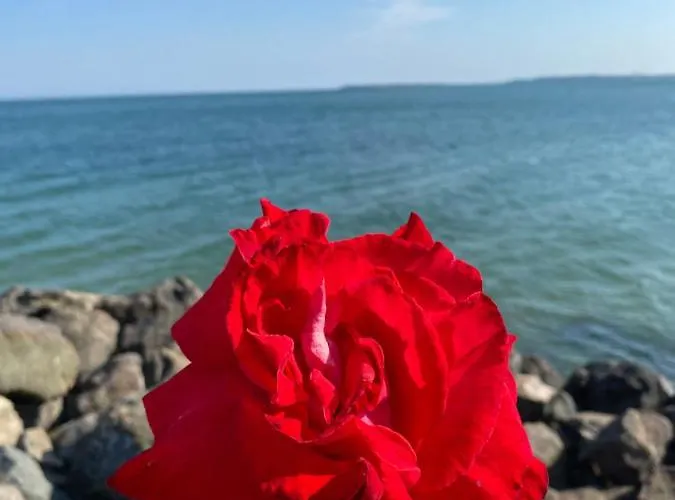 Апартамент Sea View On The Sunny Свети Влас